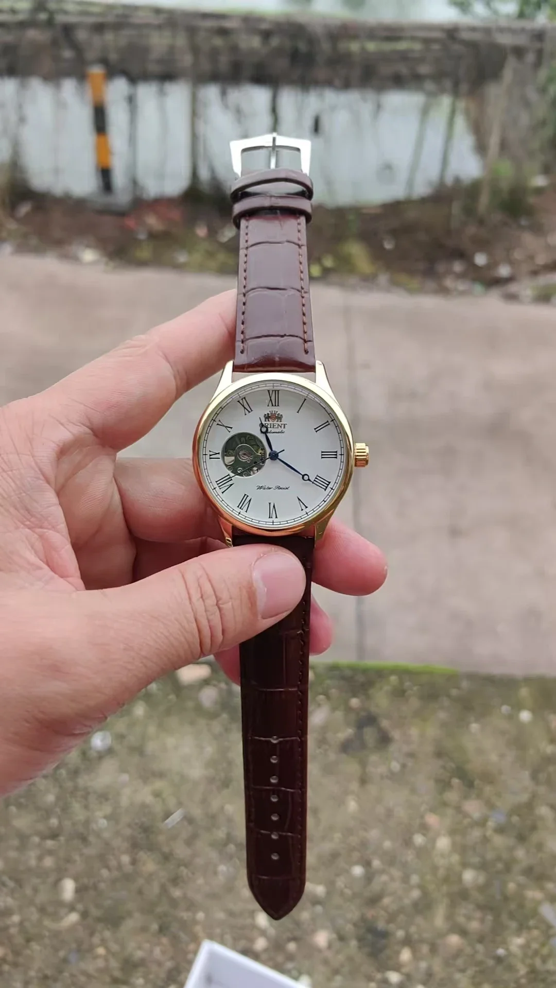 DFDG Mechanical Skeleton Watch - огляд і ціна Seiko Watch Presage