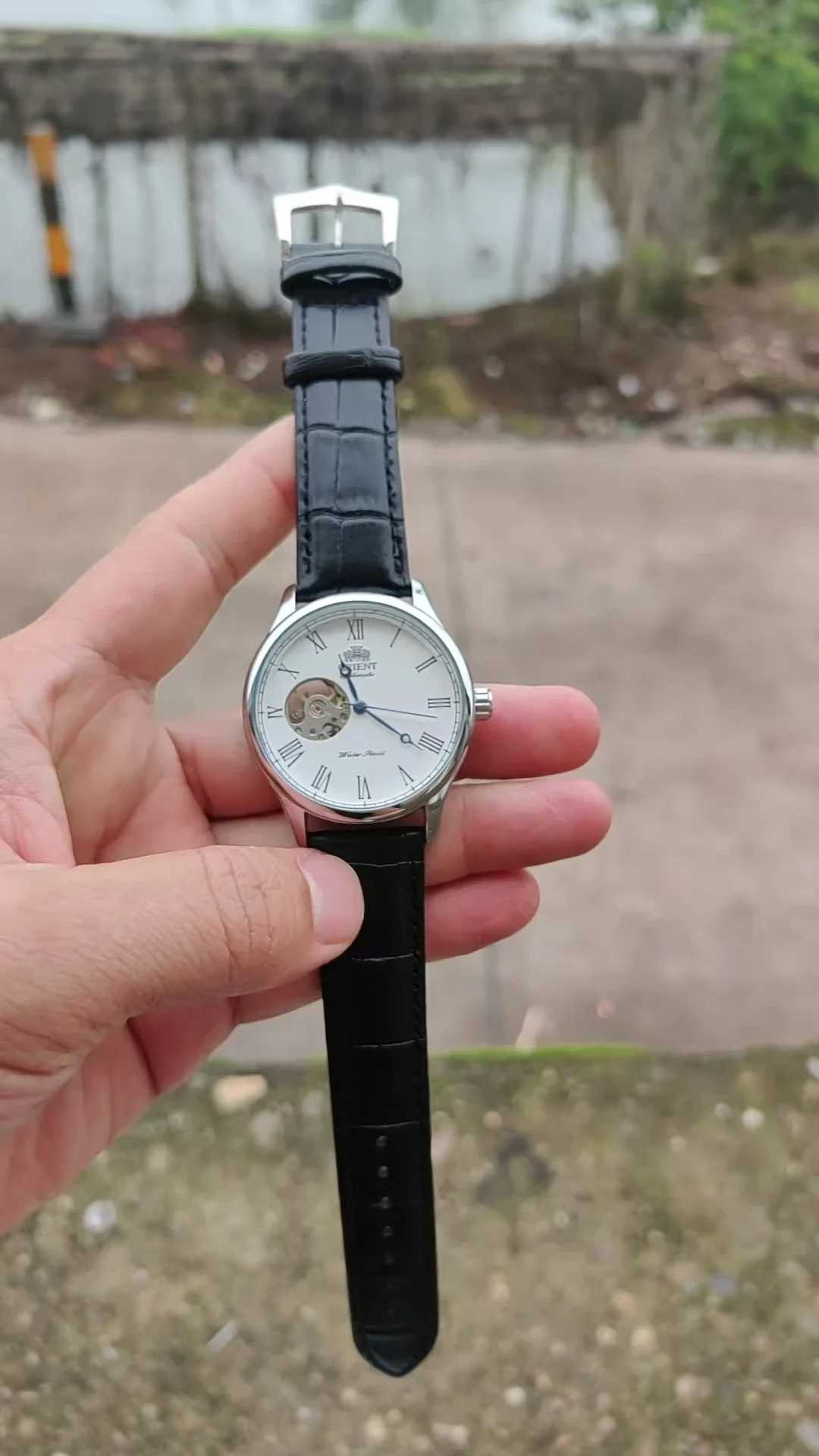 DFDG Mechanical Skeleton Watch - огляд і ціна Seiko Watch Presage